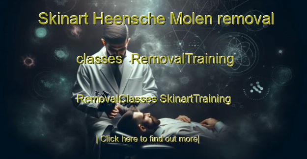 Skinart Heensche Molen removal classes | #RemovalTraining #RemovalClasses #SkinartTraining-Netherlands