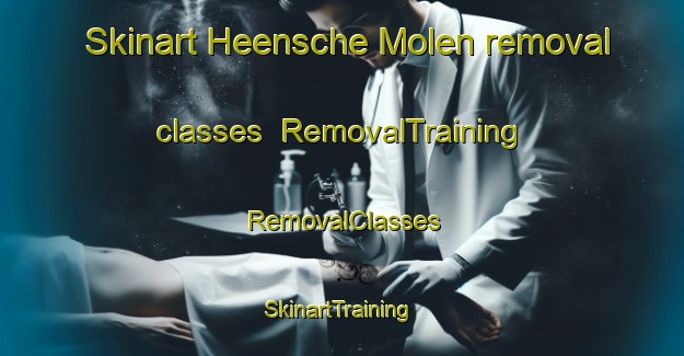 Skinart Heensche Molen removal classes | RemovalTraining | RemovalClasses | SkinartTraining-Netherlands