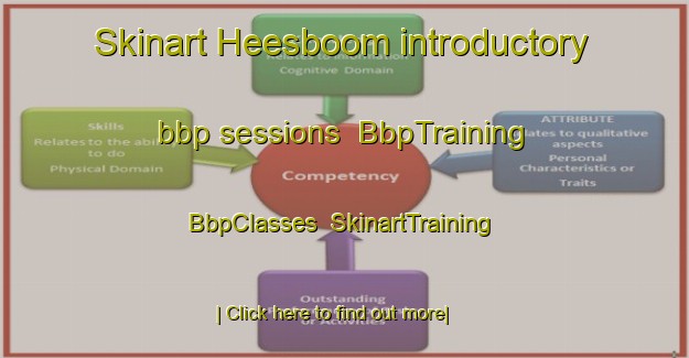 Skinart Heesboom introductory bbp sessions | BbpTraining | BbpClasses | SkinartTraining-Netherlands