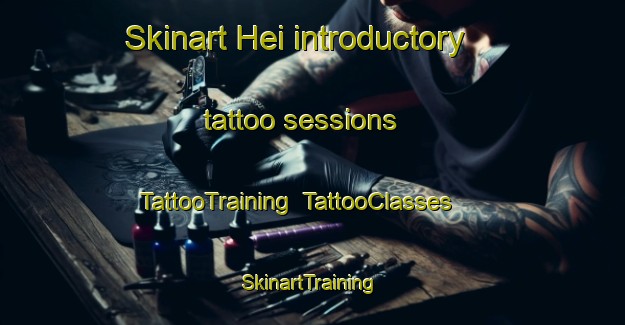 Skinart Hei introductory tattoo sessions | TattooTraining | TattooClasses | SkinartTraining-Netherlands