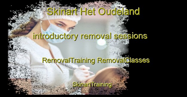 Skinart Het Oudeland introductory removal sessions | #RemovalTraining #RemovalClasses #SkinartTraining-Netherlands