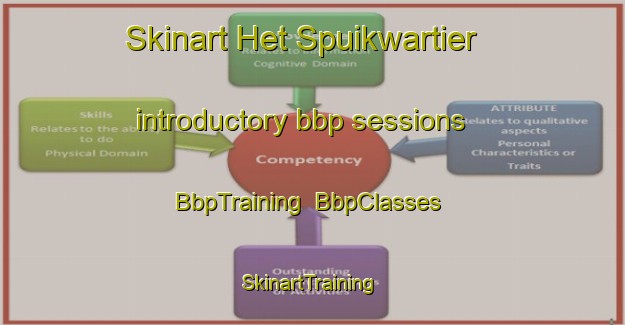 Skinart Het Spuikwartier introductory bbp sessions | BbpTraining | BbpClasses | SkinartTraining-Netherlands