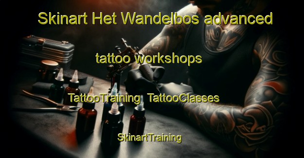 Skinart Het Wandelbos advanced tattoo workshops | TattooTraining | TattooClasses | SkinartTraining-Netherlands