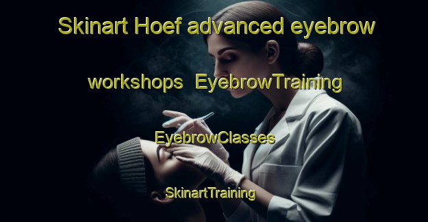 Skinart Hoef advanced eyebrow workshops | EyebrowTraining | EyebrowClasses | SkinartTraining-Netherlands