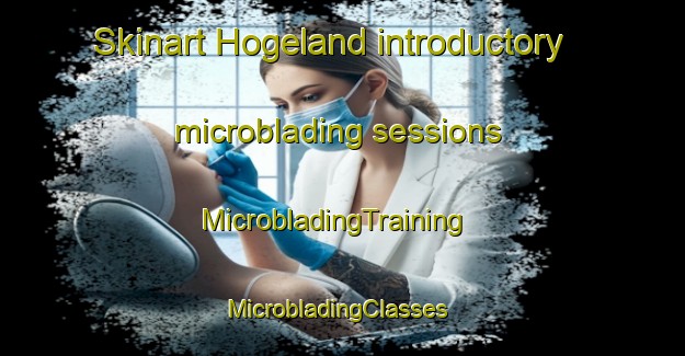 Skinart Hogeland introductory microblading sessions | MicrobladingTraining | MicrobladingClasses | SkinartTraining-Netherlands