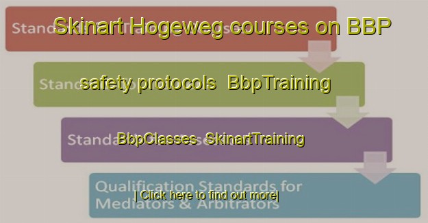 Skinart Hogeweg courses on BBP safety protocols | BbpTraining | BbpClasses | SkinartTraining-Netherlands