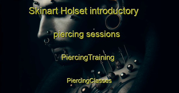 Skinart Holset introductory piercing sessions | #PiercingTraining #PiercingClasses #SkinartTraining-Netherlands