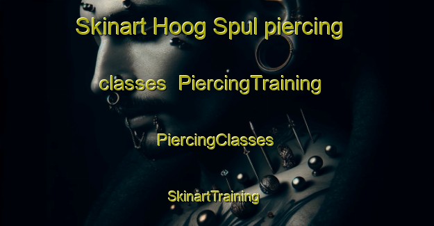 Skinart Hoog Spul piercing classes | #PiercingTraining #PiercingClasses #SkinartTraining-Netherlands