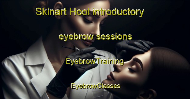 Skinart Hool introductory eyebrow sessions | EyebrowTraining | EyebrowClasses | SkinartTraining-Netherlands
