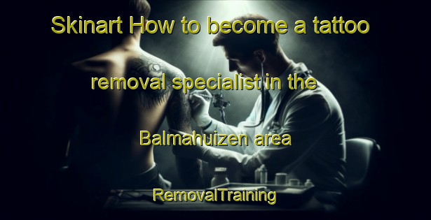 Skinart How to become a tattoo removal specialist in the Balmahuizen area | RemovalTraining | RemovalClasses | SkinartTraining-Netherlands