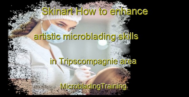 Skinart How to enhance artistic microblading skills in Tripscompagnie area | #MicrobladingTraining #MicrobladingClasses #SkinartTraining-Netherlands