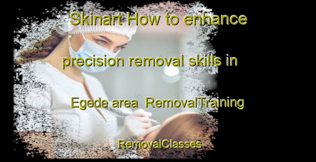 Skinart How to enhance precision removal skills in Egede area | RemovalTraining | RemovalClasses | SkinartTraining-Netherlands