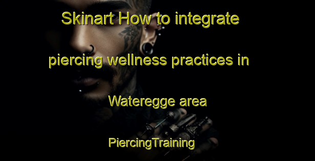 Skinart How to integrate piercing wellness practices in Wateregge area | PiercingTraining | PiercingClasses | SkinartTraining-Netherlands