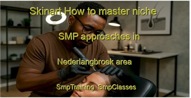 Skinart How to master niche SMP approaches in Nederlangbroek area | SmpTraining | SmpClasses | SkinartTraining-Netherlands
