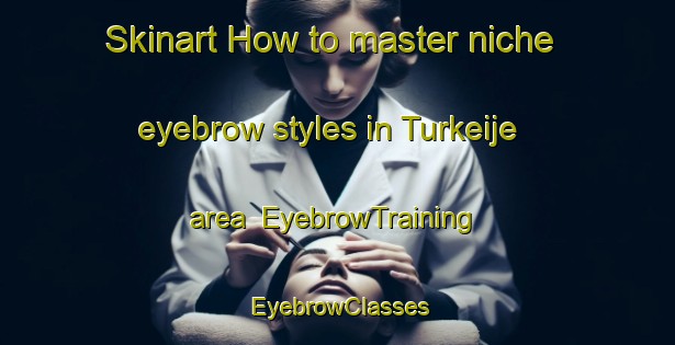 Skinart How to master niche eyebrow styles in Turkeije area | EyebrowTraining | EyebrowClasses | SkinartTraining-Netherlands
