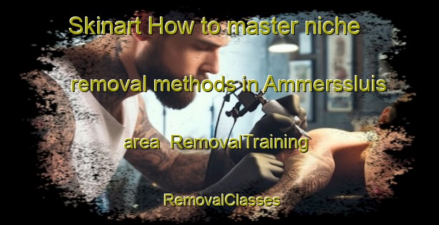 Skinart How to master niche removal methods in Ammerssluis area | RemovalTraining | RemovalClasses | SkinartTraining-Netherlands