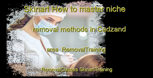 Skinart How to master niche removal methods in Cadzand area | #RemovalTraining #RemovalClasses #SkinartTraining-Netherlands