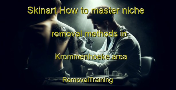Skinart How to master niche removal methods in Krommenhoeke area | RemovalTraining | RemovalClasses | SkinartTraining-Netherlands