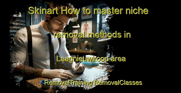 Skinart How to master niche removal methods in Laagnieuwkoop area | #RemovalTraining #RemovalClasses #SkinartTraining-Netherlands