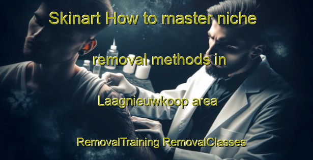 Skinart How to master niche removal methods in Laagnieuwkoop area | #RemovalTraining #RemovalClasses #SkinartTraining-Netherlands