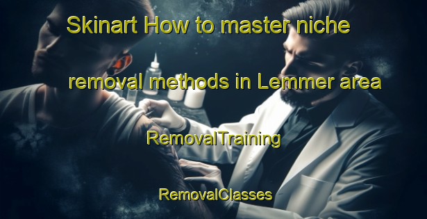 Skinart How to master niche removal methods in Lemmer area | RemovalTraining | RemovalClasses | SkinartTraining-Netherlands