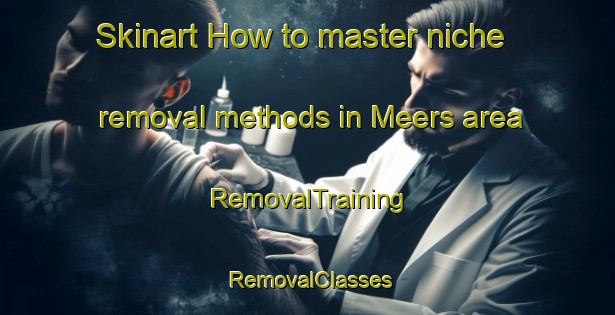 Skinart How to master niche removal methods in Meers area | RemovalTraining | RemovalClasses | SkinartTraining-Netherlands