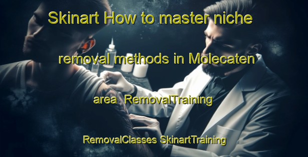 Skinart How to master niche removal methods in Molecaten area | #RemovalTraining #RemovalClasses #SkinartTraining-Netherlands