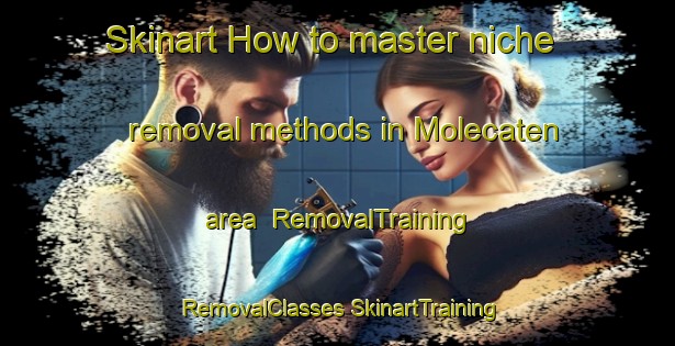 Skinart How to master niche removal methods in Molecaten area | #RemovalTraining #RemovalClasses #SkinartTraining-Netherlands