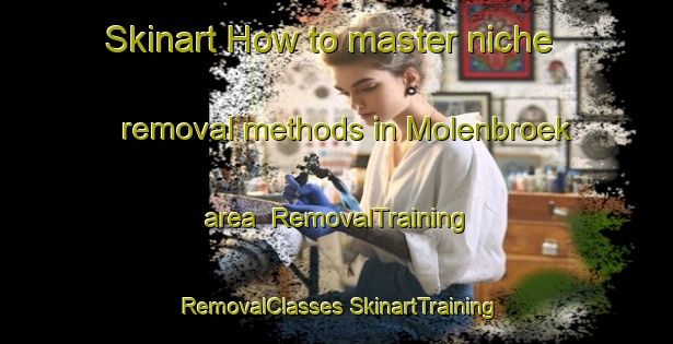 Skinart How to master niche removal methods in Molenbroek area | #RemovalTraining #RemovalClasses #SkinartTraining-Netherlands