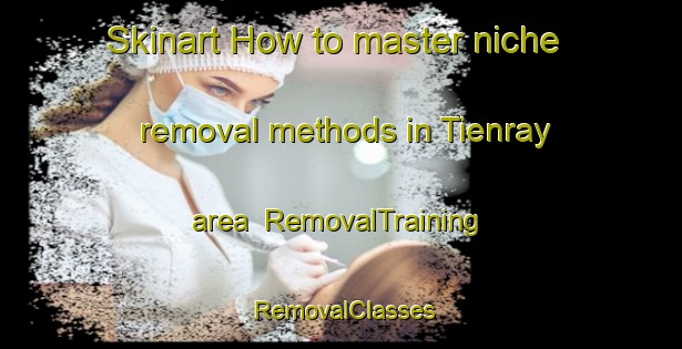 Skinart How to master niche removal methods in Tienray area | RemovalTraining | RemovalClasses | SkinartTraining-Netherlands