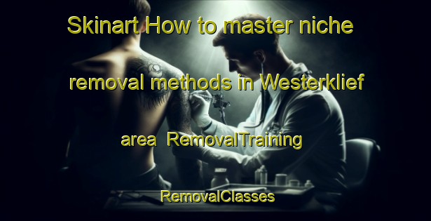 Skinart How to master niche removal methods in Westerklief area | RemovalTraining | RemovalClasses | SkinartTraining-Netherlands