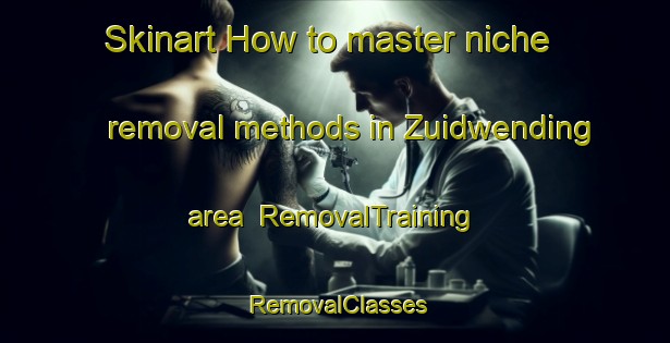 Skinart How to master niche removal methods in Zuidwending area | RemovalTraining | RemovalClasses | SkinartTraining-Netherlands