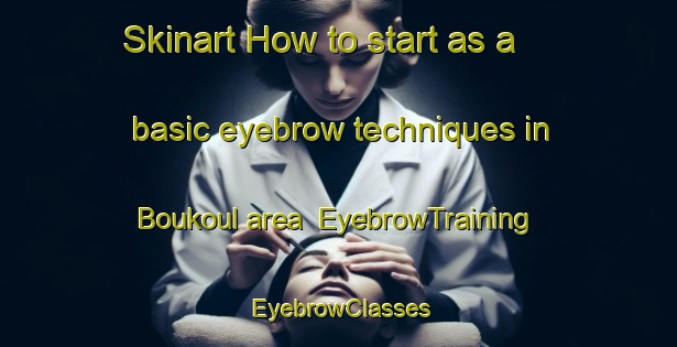 Skinart How to start as a basic eyebrow techniques in Boukoul area | EyebrowTraining | EyebrowClasses | SkinartTraining-Netherlands