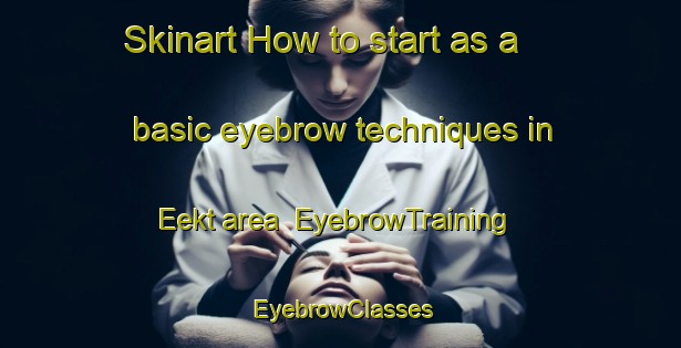 Skinart How to start as a basic eyebrow techniques in Eekt area | EyebrowTraining | EyebrowClasses | SkinartTraining-Netherlands