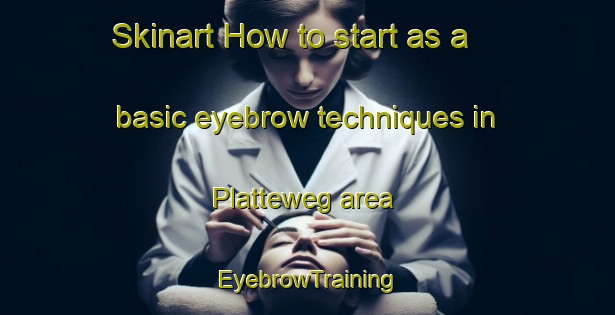Skinart How to start as a basic eyebrow techniques in Platteweg area | EyebrowTraining | EyebrowClasses | SkinartTraining-Netherlands