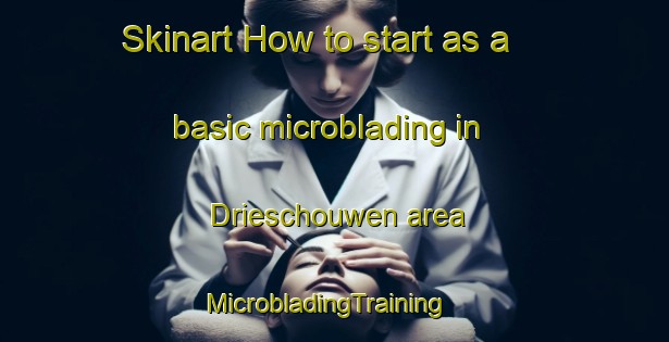 Skinart How to start as a basic microblading in Drieschouwen area | MicrobladingTraining | MicrobladingClasses | SkinartTraining-Netherlands