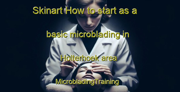 Skinart How to start as a basic microblading in Holterhoek area | MicrobladingTraining | MicrobladingClasses | SkinartTraining-Netherlands