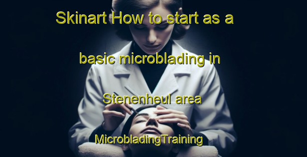 Skinart How to start as a basic microblading in Stenenheul area | MicrobladingTraining | MicrobladingClasses | SkinartTraining-Netherlands