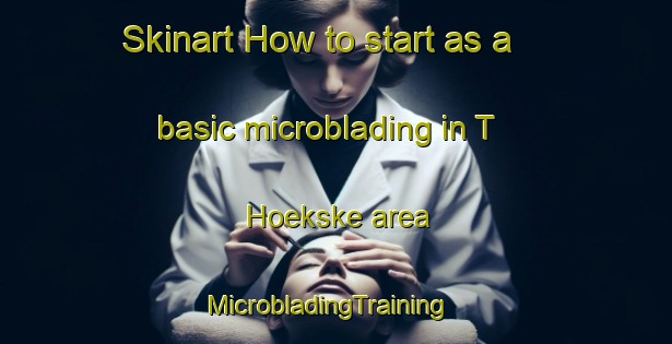 Skinart How to start as a basic microblading in T Hoekske area | MicrobladingTraining | MicrobladingClasses | SkinartTraining-Netherlands