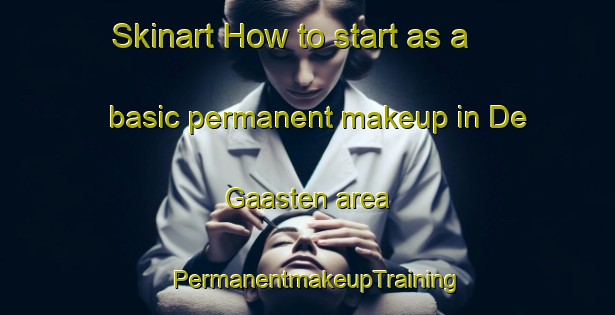 Skinart How to start as a basic permanent makeup in De Gaasten area | PermanentmakeupTraining | PermanentmakeupClasses | SkinartTraining-Netherlands