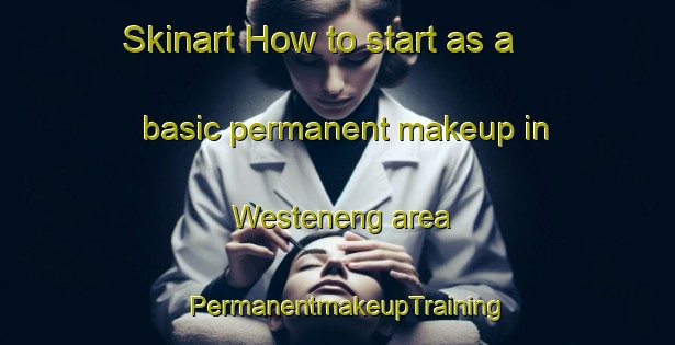 Skinart How to start as a basic permanent makeup in Westeneng area | PermanentmakeupTraining | PermanentmakeupClasses | SkinartTraining-Netherlands