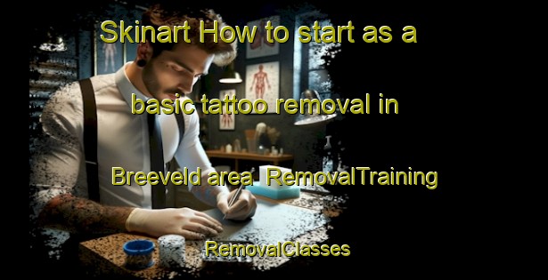 Skinart How to start as a basic tattoo removal in Breeveld area | RemovalTraining | RemovalClasses | SkinartTraining-Netherlands