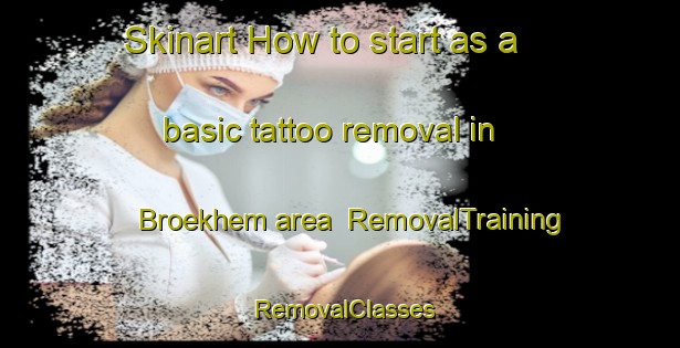 Skinart How to start as a basic tattoo removal in Broekhem area | RemovalTraining | RemovalClasses | SkinartTraining-Netherlands