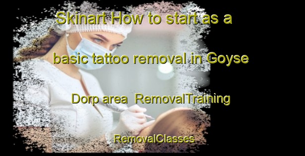 Skinart How to start as a basic tattoo removal in Goyse Dorp area | RemovalTraining | RemovalClasses | SkinartTraining-Netherlands