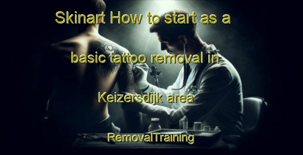 Skinart How to start as a basic tattoo removal in Keizersdijk area | RemovalTraining | RemovalClasses | SkinartTraining-Netherlands
