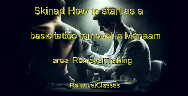 Skinart How to start as a basic tattoo removal in Menaam area | RemovalTraining | RemovalClasses | SkinartTraining-Netherlands