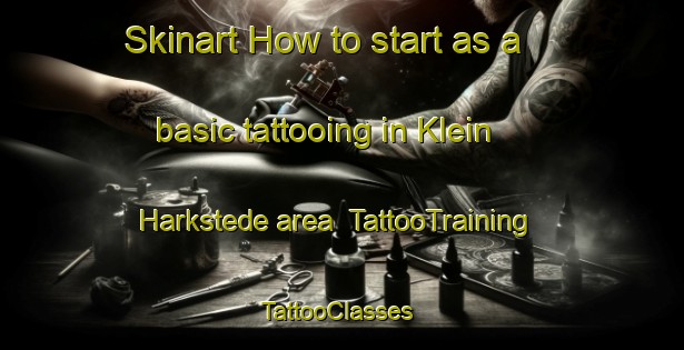 Skinart How to start as a basic tattooing in Klein Harkstede area | TattooTraining | TattooClasses | SkinartTraining-Netherlands