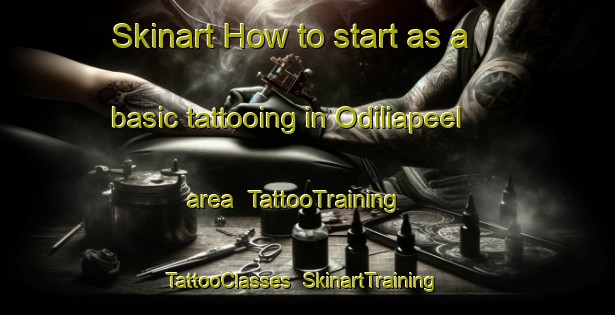 Skinart How to start as a basic tattooing in Odiliapeel area | TattooTraining | TattooClasses | SkinartTraining-Netherlands