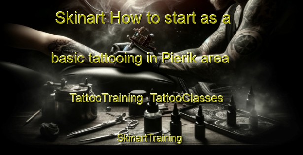 Skinart How to start as a basic tattooing in Pierik area | TattooTraining | TattooClasses | SkinartTraining-Netherlands