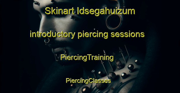 Skinart Idsegahuizum introductory piercing sessions | PiercingTraining | PiercingClasses | SkinartTraining-Netherlands